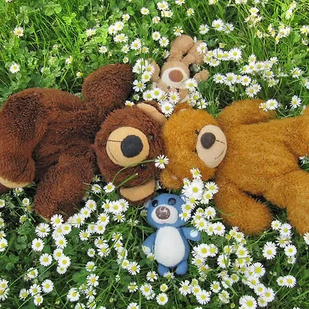 Fritz Sagmeister Jenig