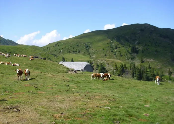 Fritz Sagmeister Guest house 3*