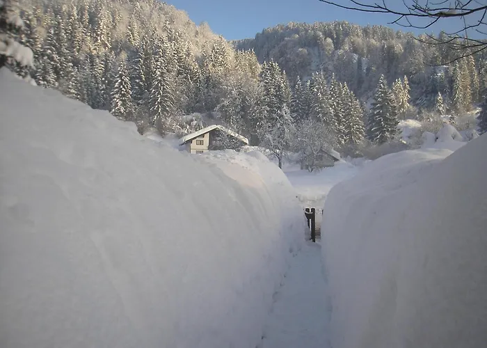 Fritz Sagmeister Guest house