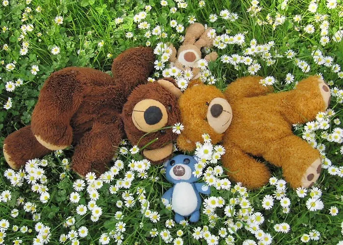 Fritz Sagmeister Jenig