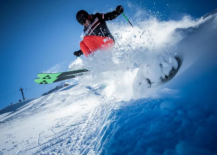 Guest house Fritz Sagmeister 3*